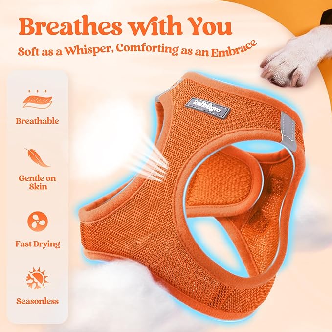rabbitgoo Dog Harness Small Medium Sized and Leash Set, Step in Soft Light Puppy Vest, Breathable Mesh Pet Harness, Reflective for Safe Easy Walking, Orange XL