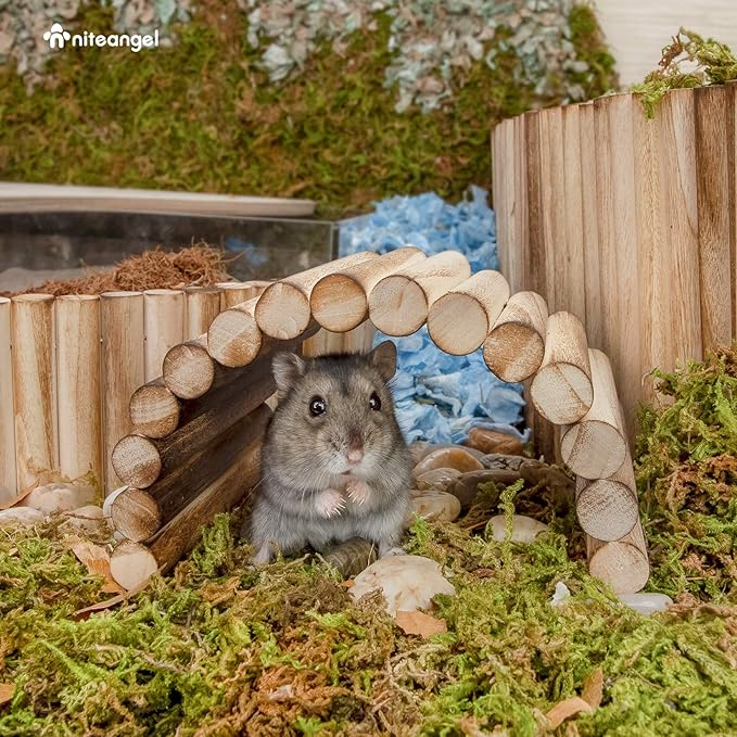 Niteangel Small Animal Climbing Toys - Suspension Bridge Ladder for Hamsters Gerbils Mice Rats Guinea Pigs or Other Small Pets (7.8'' x 3.9'')