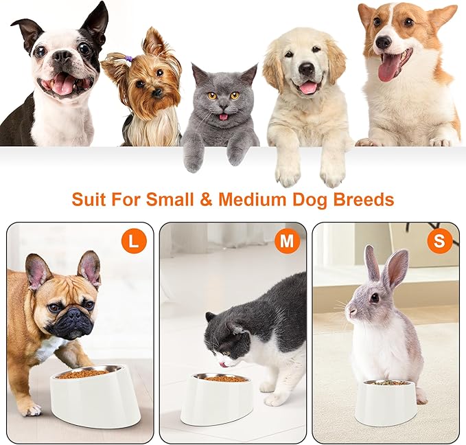 Tilted Dog Bowl Non-Slip & Non-Spill Pet Feeder with Elevated Detachable Melamine Stand, Easy to Get Food Dog Dish, M/180ml White
