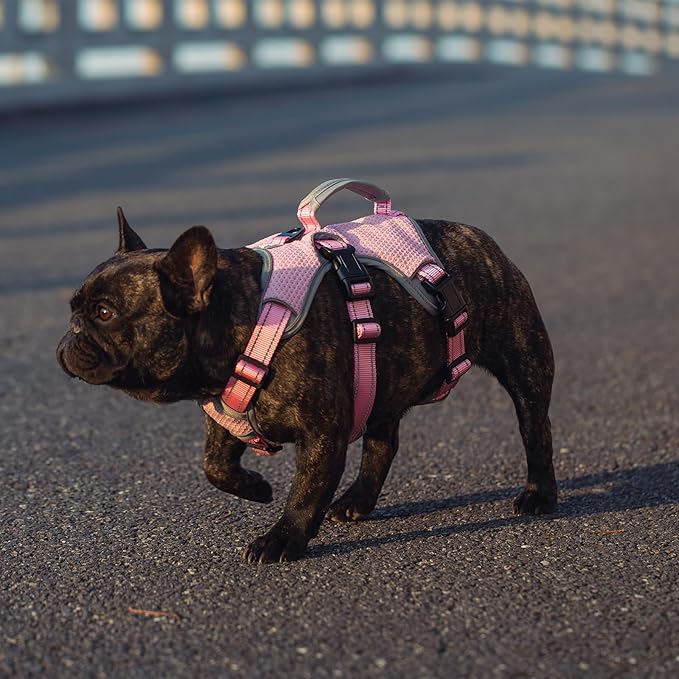 BELPRO Multi-Use Support Dog Harness, Escape Proof No Pull Reflective Adjustable Vest with Durable Handle, Dog Walking Harness for Big/Active Dogs (Pink, XL)