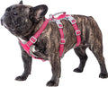 Huntboo Escape Proof Dog Harness, Escape Artist Harness, Reflective Harness with Padded Handle, Breathable, Durable, Adjustable Vest for Medium Dogs Walking, Training, and Running Gear (Rose red, M)