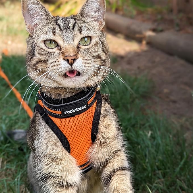 rabbitgoo Cat Harness and Leash Set for Walking Escape Proof, Adjustable Soft Kittens Vest with Reflective Strip for Cats, Comfortable Outdoor Vest,Light Orange,M