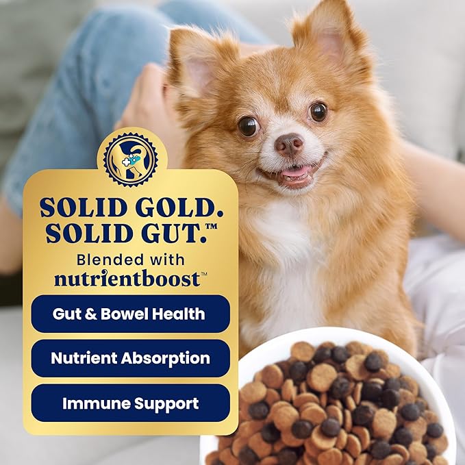 Solid Gold Toy & Small Breed Dog Food Dry Small Bites – Bison & Healthy Whole Grain Dogfood – High Fiber Healthy Dog Kibble w/Probiotics for Gut Health – NutrientBoost™ – 11 lb
