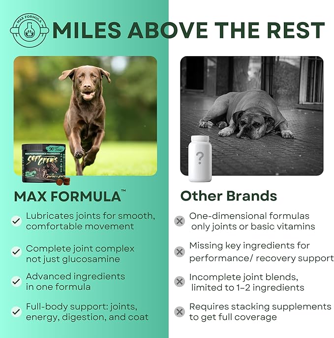 High-Performance & Longevity Soft Chews for Hunting, Sport and Working Dogs with Glucosamine, Chondroitin, Omega-3, Antioxidants, Ashwagandha, Probiotics, Beef Flavor, 90 Count