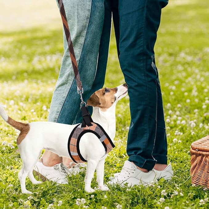 PUPTECK Adjustable Dog Harness Collar and Leash Set Step in No Pull Pet Harness for Small Medium Dogs Puppy and Cats Outdoor Walking Running, Soft Mesh Padded Reflective Vest Harnesses, Orange S