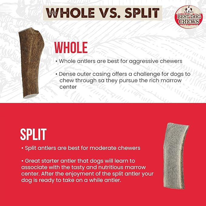 Elk Antlers for Dogs Large - Premium Natural Antler Dog Chew for Aggressive Chewers - Long-Lasting Deer Antler Chews - Ideal for Medium to Big Breed Dogs - Elk Bones and Antlers Durable