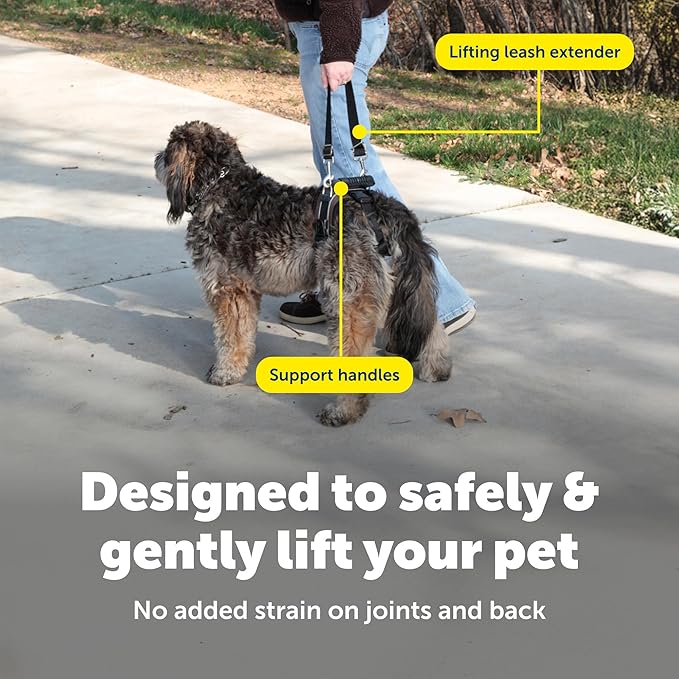 PetSafe Adjustable Dog Lifting Harness - Senior & Disabled Dog Rear Mobility Support - Easy-Fitting, Breathable Belly Straps with Lifting Aid Handle & Shoulder Strap - For Medium Dogs 35-70 lb