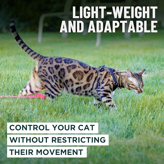 Houdini™ Escape Proof Cat Harness and Leash Set by OutdoorBengal – Black, Large Cat Harness for Walking Big Cats