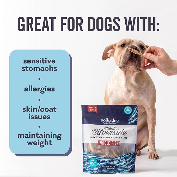 Polkadog Atlantic Silverside Whole Fish Dog Treats - All Natural, Single Ingredient Crunchy Premium Treats for Dogs, Wild Caught Fish, Great for Allergies, Handcrafted in USA - 2.5oz (1pk)