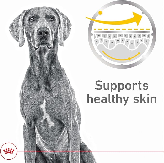 Royal Canin Canine Care Nutrition Sensitive Skin Care Adult Loaf in Sauce Dog Food, 13.5 oz (Pack of 12)