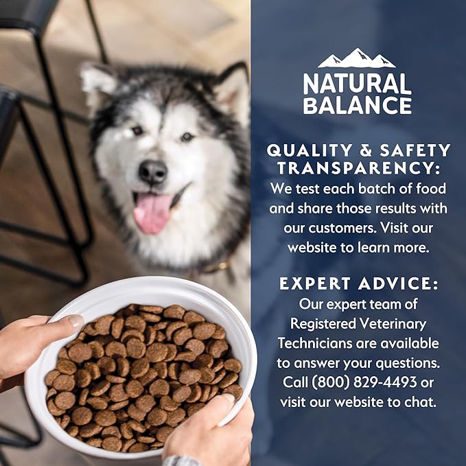 Natural Balance Health Protection Dry Dog Food – Whole Body Health, Easy on Digestion Dog Food Made with Lamb, Brown Rice & Pumpkin for Dogs - 4lbs.