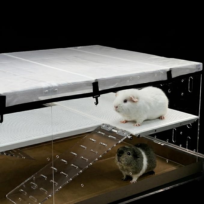 GuineaLoft™ Model-A3 Acrylic 2-Tier Cage (48"x24"x16") - Luxury Loft Habitat with 2nd Floor & Ramps - Clear Escape-Proof Enclosure for Guinea Pigs - Includes Ventilated Cover & Disposable Bottoms