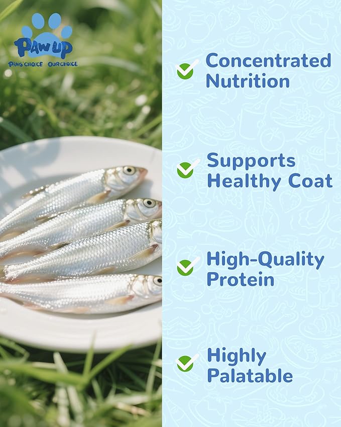 PAWUP Freeze Dried Minnows Dogs Treats – 100% Raw Single-Ingredient Pet Fish Snacks – Rich in Omega-3, Grain-Free – Healthy Training Rewards & Meal Toppers, 2.8 oz