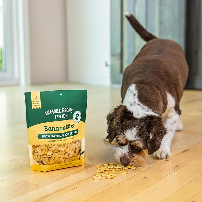 Wholesome Pride Banana Bites Dog Treats – 2-Ingredient Banana Chips for Dogs, Grain-Free, Banana & Coconut Oil, 16 oz