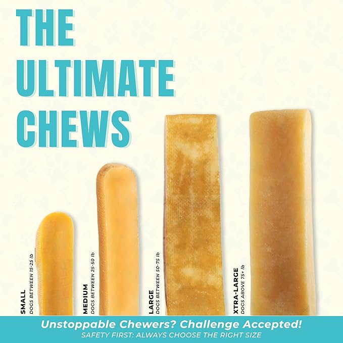 Himalayan Yak Cheese Dog Chews for Medium Dogs (25–50 lbs) – Extra Thick & Dense Long-Lasting Hard Chew for Aggressive Chewers – Natural, Protein-Rich & Odor-Free – 3 Medium Bars (2.4 oz Each)