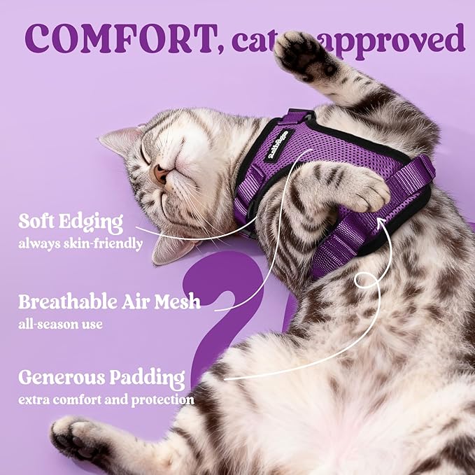 rabbitgoo Cat Harness and Leash for Walking, Escape Proof Soft Adjustable Vest Harnesses for Cats, Easy Control Breathable Reflective Strips Jacket, Purple, XS