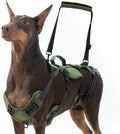 BINGPET Dog Lift Harness for Large Dogs,Full Body Support Rehabilitation Dog Sling Carrier with Handles,Reflective Multifunctional Mobility Assistance Vest for Senior Pets Joint Injuries,Arthritis,XL