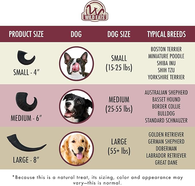 Wild Eats Water Buffalo Horn No Hide Dog Bones & Chews (All Natural, Single Source Protein, GrainFree Treat, Long Lasting Dog Chews & Bones) 4 Pack, Medium-Horn