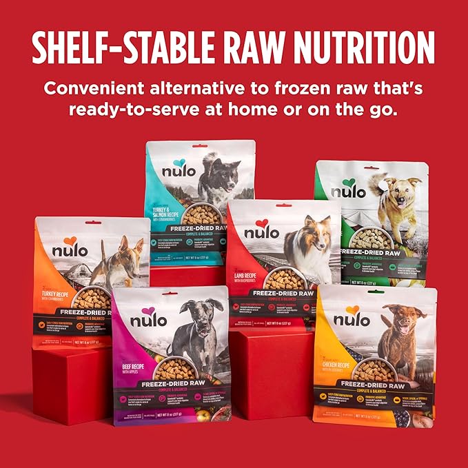 Nulo Freeze-Dried Raw Beef Recipe with Apples Complete and Balanced Dry Dog Food Kibble, 8 Ounce Bag
