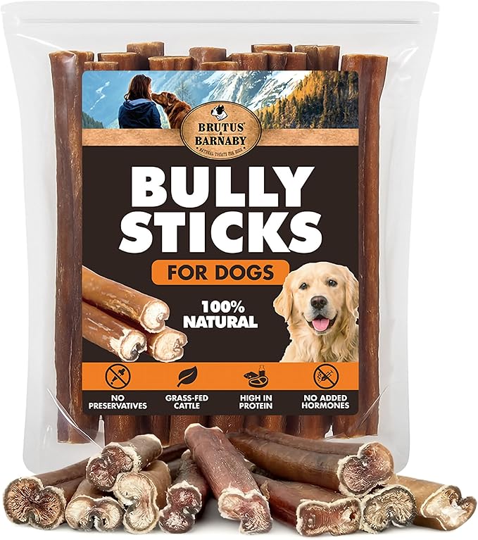 BRUTUS & BARNABY 6 Inch Bully Sticks for Dogs (50 Count) - Natural Grass-Fed Beef Chew Sticks, Odor Free, Single Ingredient, Fully Digestible, Rawhide Free - Bulk Pack for Small, Medium & Large Dogs