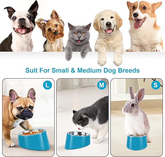 Tilted Dog Bowl Non-Slip & Non-Spill Pet Feeder with Elevated Detachable Melamine Stand, Easy to Get Food Dog Dish, L/300ml Blue