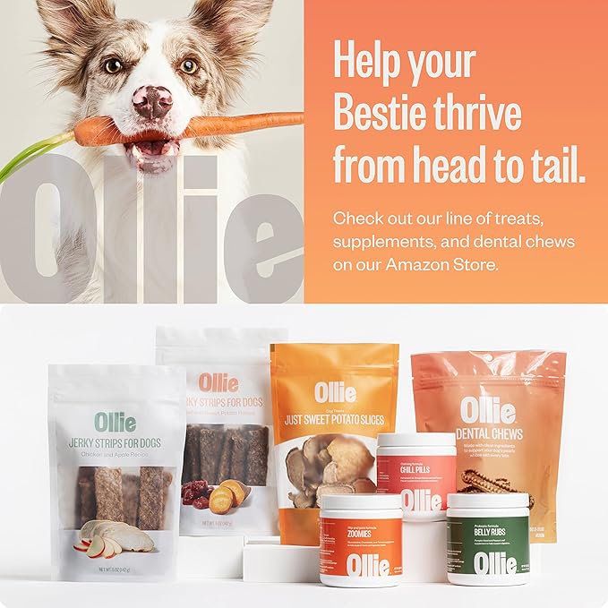 Ollie Dental Chews for Small Dogs, 12 Oz, Fresh Breath, Teeth Cleaning Treats, Sticks for Dog Oral Care, with Parsley and Cinnimon, for Pups 16-25 lbs