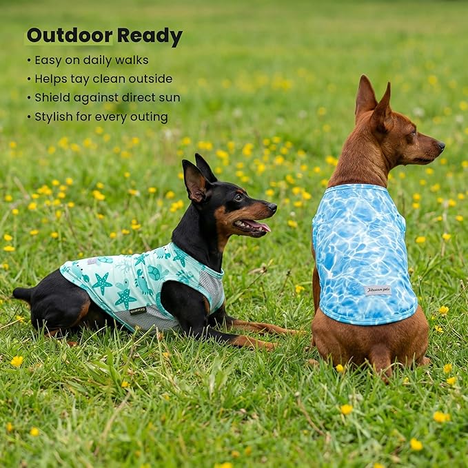 Fitwarm 2 Pack Marine UPF 50+ UV Sun Protection Dog Shirt, Lightweight Cooling Vest, Quick Dry Summer Clothes for Small Dogs Boy Girl, Pet Outfit, Sky Blue, Mint Green, XL