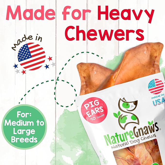 Nature Gnaws USA Pig Ears for Dogs (10 Count) - Thick Long Lasting for Aggressive Chewers and Large Dogs - Premium Natural Pork Dog Chew Bones - Rawhide Free