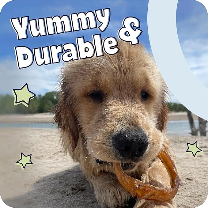 Pawstruck 6 Inch Bully Sticks with Bonus Inch for Dogs (5 Pack) - All Natural Beef Pizzle, Long Lasting, Rawhide-Free, Low Odor, Single Ingredient Dog Chews & Dental Treats