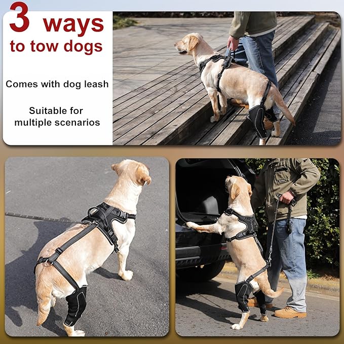 Dog Joint Knee Metal Hip Brace Support Full Body Stabilize Joints Suitable for 4 Limbs with Puppy Hip Traction Rope Extra Large Sizes
