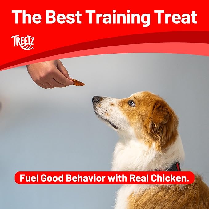 TREETZ Salmon Chips Dog Treats – Lean Protein, Human-Grade, All Natural & Easy to Digest – Soft & Meaty Texture for Training – No Fillers, Preservatives, or Artificial Flavors, 12 oz
