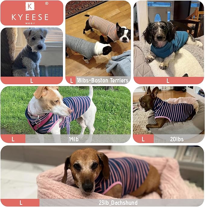 KYEESE 2Pack Dog Sweater Turtleneck Dog Sweaters for Small Dogs Male Stretchy Dogs Clothes Soft Pets Clothes Pullover Pet Sweatshirt Warm Pets Coats Small Pet Sweaters