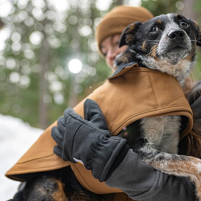 Carhartt Firm Duck Dog Chore Coat, Insulated Weather Resistant Jacket for Cold and Windy Conditions, Hunter Orange, Small