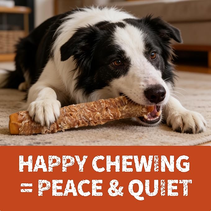 Just Try 13" Large Size Chicken Wrapped Rawhide Dog Chew Sticks - Long Lasting Dog Chews, Dog Treats for Large Dogs, Dog Chews