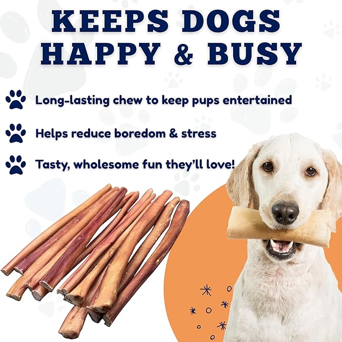 Amazing Dog Treats - 12 Inch Medium Size Bully Sticks (25 Count) - Bulk Bully Sticks for Dogs - No Hide Bully Stick Dog Bones