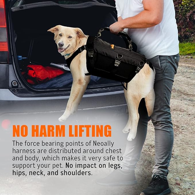 NeoAlly Sturdy Dog Lift Harness Full Body Support & Mobility Aids System - 5-in-1 Lifting Support, Carry Sling, Vest Harness, Back Brace, and Anxiety Vest - Endorsed by Shark Tank (Small)