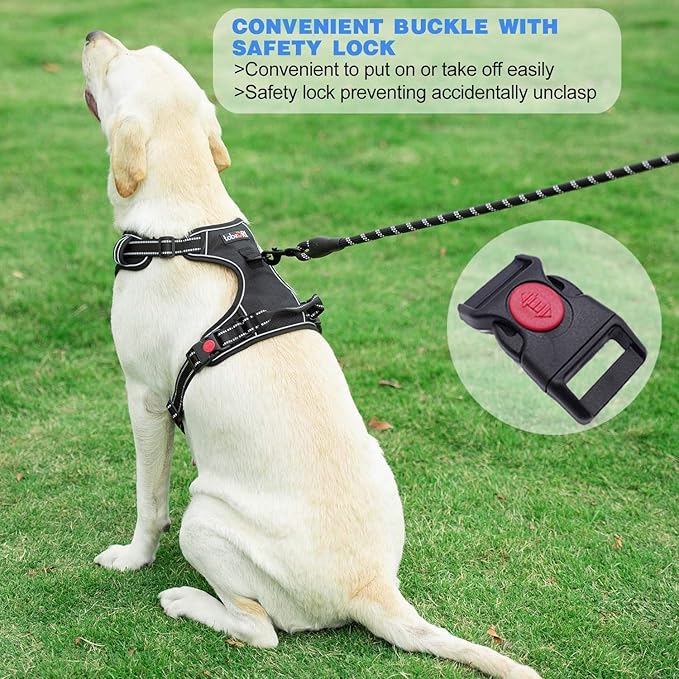 No Pull Dog Harness Adjustable Reflective Oxford Easy Control Medium Large Dog Harness with A Free Heavy Duty 5ft Dog Leash (S (Neck: 13"-18", Chest: 17.5"-22"), Blue Harness+Leash)