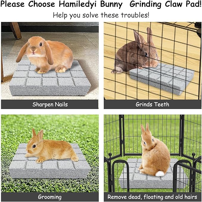 Hamiledyi 6PCS Rabbit Scratching Pads - Lava Stone Grinding Claw Pads & Chew Toys for Small Animals, Hamster, Chinchilla, Hedgehog, Guinea Pig Cage Accessories
