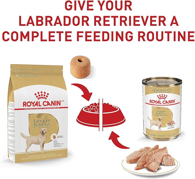Royal Canin Breed Health Nutrition Labrador Retriever Adult Dry Dog Food, 5 lb Bag