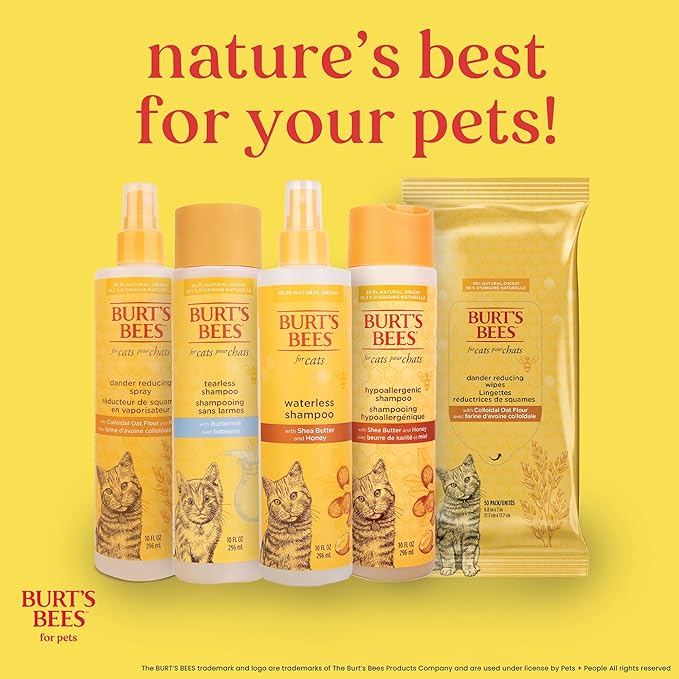 Burt’s Bees for Pets Hypoallergenic Cat Shampoo with Shea Butter and Honey, Gentle Kitten Shampoo for Indoor Cats with Dry or Sensitive Skin, Cat Bathing Supplies, 10 Fl Oz - 6 Pack