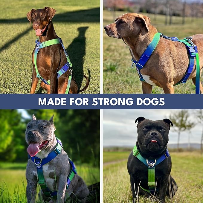 Spark Paws No Pull Dog Harness with Handle for Large Dogs, Heavy Duty Dog Harness for Big Strong Breeds, Adjustable, Y Shaped Padded Halter Design with Front Clip - Lime Wave - L