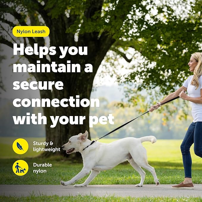 PetSafe Nylon Leash - Durable Cat & Dog Behavioral Training Leash - Compatible with Easy-Walk Harness - Traditional-Style Reliable Pet Lead with a Padded Hand Wrap - 3/8" x 6' - Black