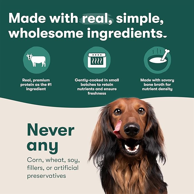 Jinx Wet Dog Food Pouches, Meal or Dog Food Topper Mix with Dry Dog Food, Made with Real Lamb & Duck, Bone Broth, No Fillers, Puppy, Adult, Senior, 9oz, 6 Pack