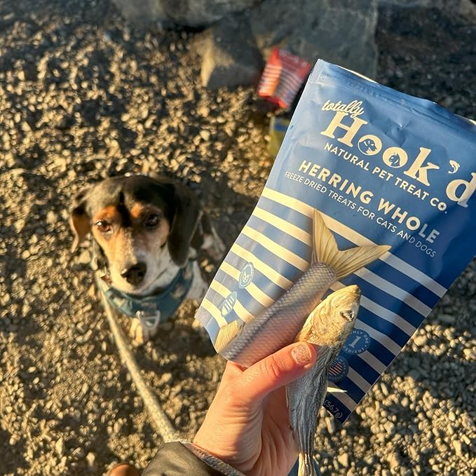 Totally Hook'd Freeze‑Dried Single‑Ingredient Treats, High‑Protein Omega-3 Training Snack for Dogs & Cats (2 Ounce, Herring)