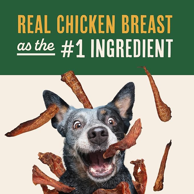 Waggin' Train Smoked Chicken Jerky Tenders for Dogs with Turmeric and Human Grade Bone Broth, Grain and Corn Free, High Protein, Premium Limited Ingredient 100% Real Chicken Dog Treats, 12 oz. Pouch
