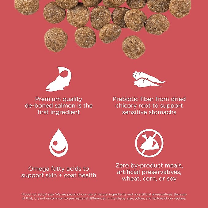 Go! Solutions Sensitivities Limited Ingredient Salmon Grain-Free Dry Dog Food, Chicken-Free Kibble Made by Experts for Sensitive Stomachs & Food Allergies, for Puppies, Adults, & Seniors, 22 lb Bag
