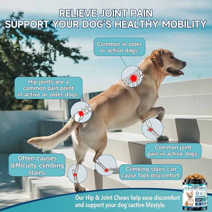 Glucosamine for Dogs, 200pcs Dog Hip and Joint Supplement Dogs with, MSM, Chondroitin, Vitamins C & E, Dog Joint Supplement Large Breed, Dog Joint Chew Treats, Chicken Flavor