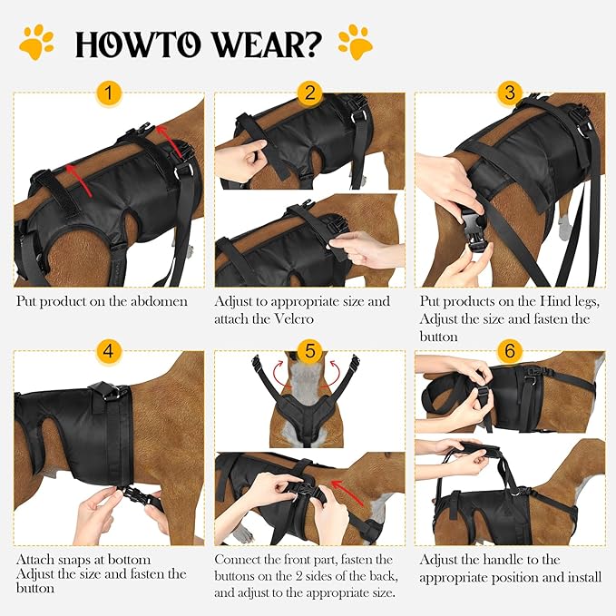 Dog Lift Harness, Dog Sling for Large Medium Dogs' Hind Leg Support Pee-Able. Ideal for Seniors, Disabled, Injured & Arthritic Dogs in ACL Recovery, Secure Harness for Assisted Mobility (Medium)