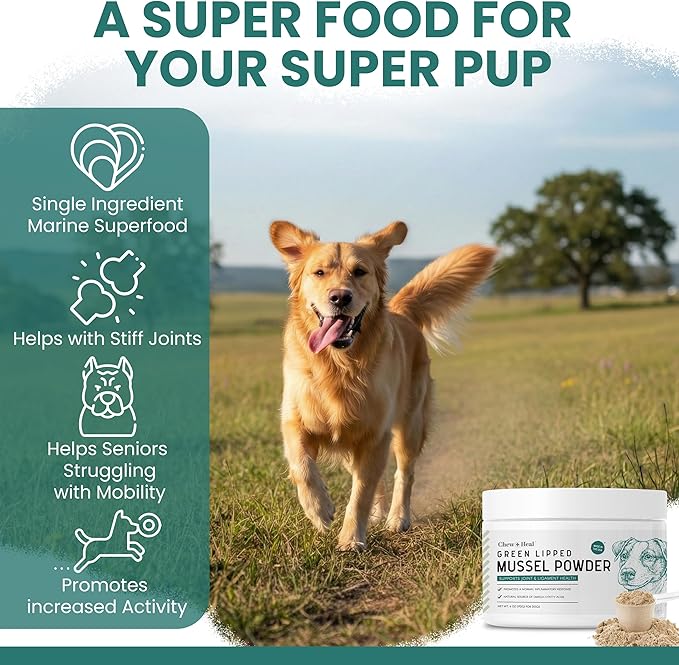 Green Lipped Mussel for Dogs - 6 oz of Green Lipped Mussel Powder for Dogs - Good for Joint and Ligament Health - Made in the USA