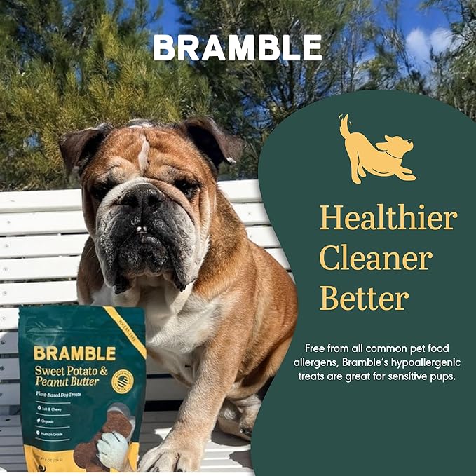 BRAMBLE Organic Dog Treats. Everyday Sweet Potato & Peanut Butter Human Grade Treats, Made with Real Ingredients, Soft & Chewy Dog Cookies. Wheat-Free Plant-Based. 8 oz